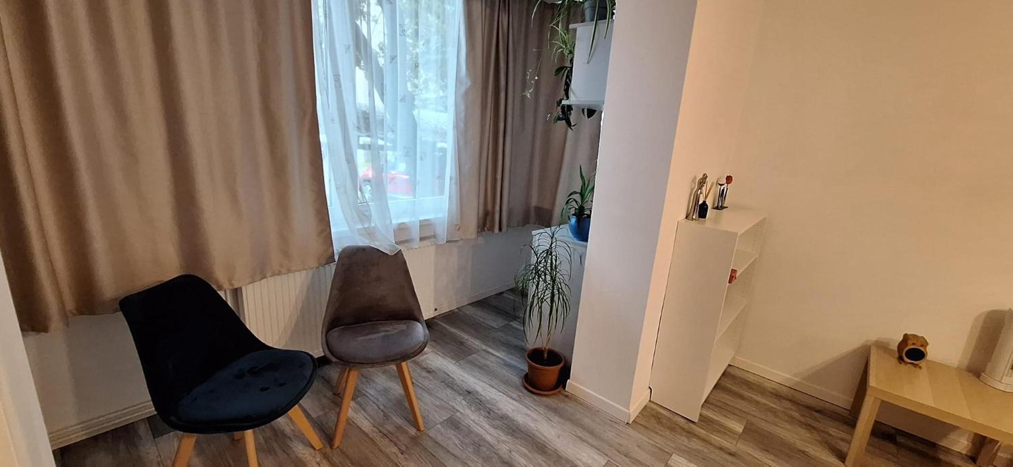 Enci House Apartment Târgu-Mureş Eksteriør bilde